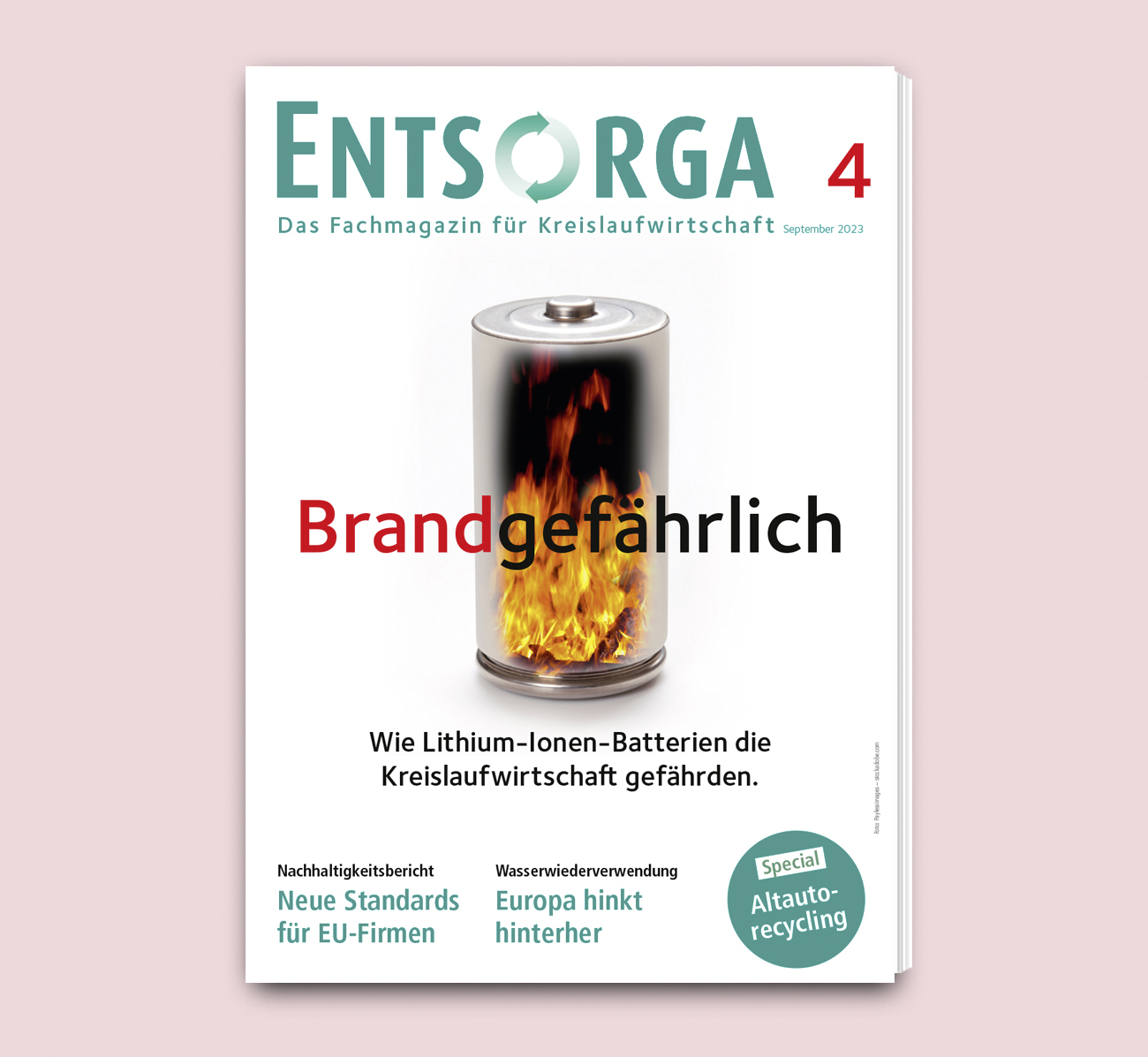 Fachmagazindesign